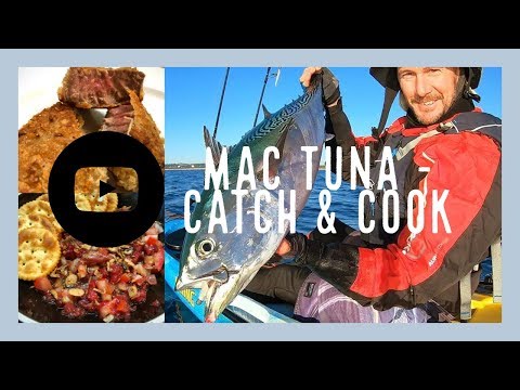 download lagu mp3 mp4 Mac Tuna, download lagu Mac Tuna gratis, unduh video klip Mac Tuna