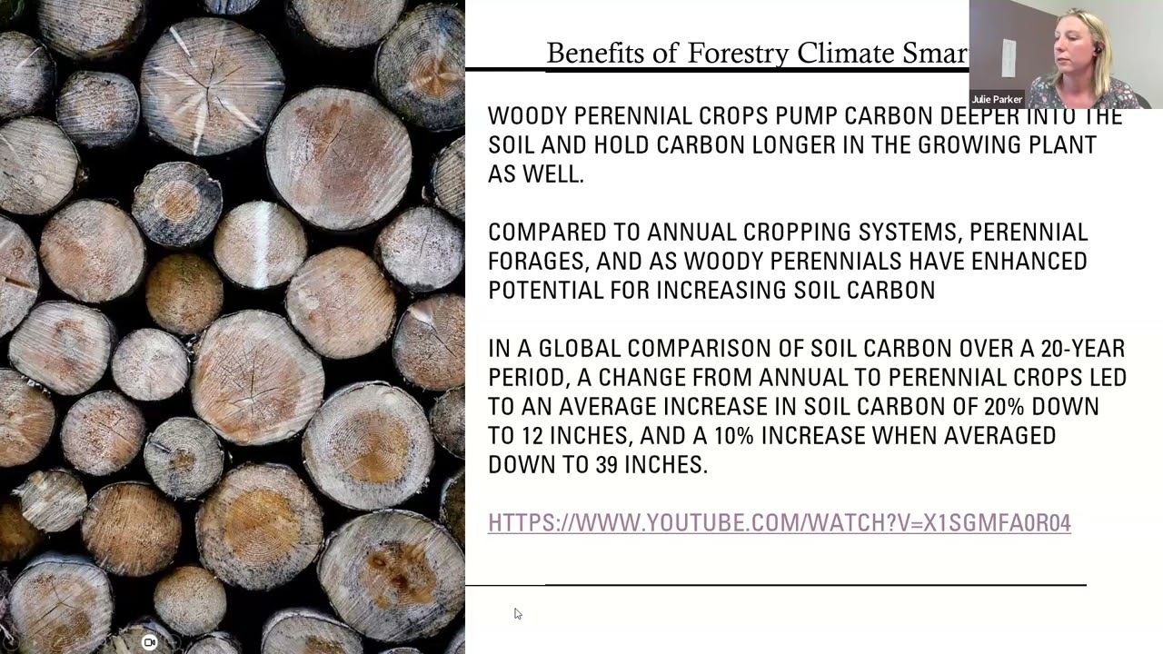 Woodland Wednesday: Conservation Climate Smart Practices and Timber Stand Improvements
