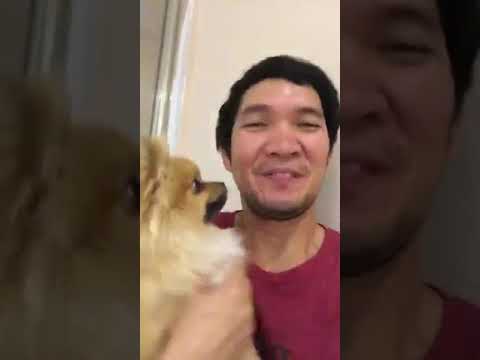 Al muneera Abu Dhabi part 2