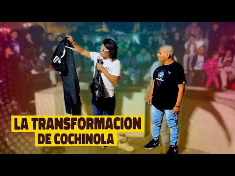 The transformation of guinea pig 😳