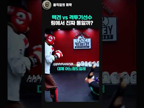 🔥 택견 vs 격투기선수 스파링! 링에서 어복치기와 도끼질이 통할까? ㄷㄷ #taekkyeon