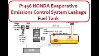 Reparación efectiva y code p1456 Mercedes Benz