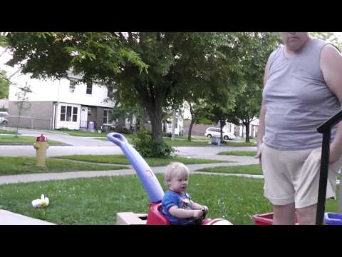 TO TODAY IS JUNE 2 2014 THE FUNNY DOGS