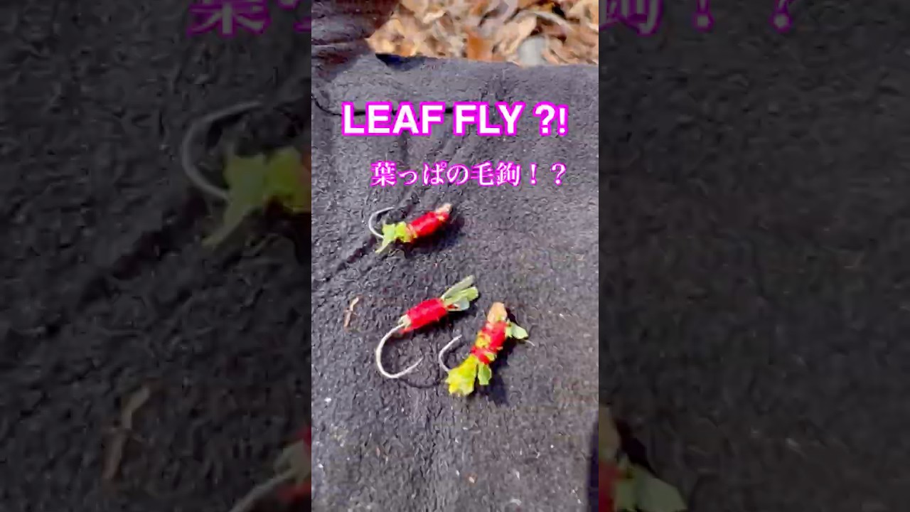 Fly fishing with just a leaf? 🍃 一枚の落ち葉で釣る魔法。 #Shorts #Tenkara #FlyFishing