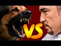 Cesar Millan vs Aggressive Dogs (Compilation Video)