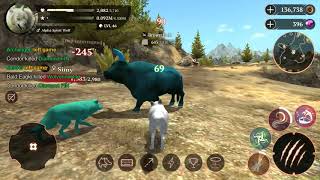 The Wolf Online Spirit #46 lvl