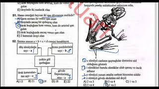 Suda-quruda yaşayanlar. Sürünənlər (37-71) | Biologiya DİM Test Toplusu 2025