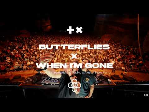 Martin Garrix, Matisse & Sadko x Alesso - Butterflies x When Im Gone (Alesso & Martin Garrix Mashup)