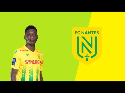 Randal Kolo Muani - Goals & Assists, 2020/21 Nantes