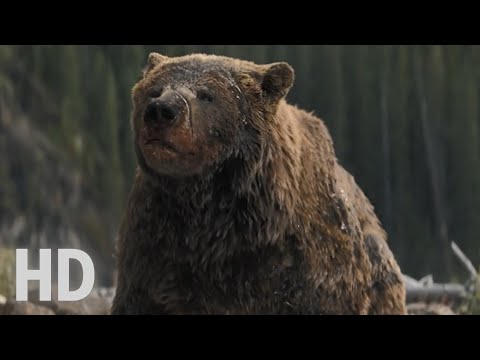 PREY Movie Bear Attack Scene