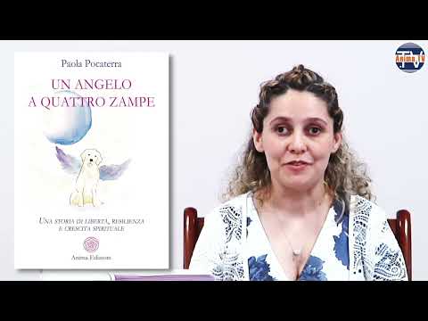 Il mio libro in breve