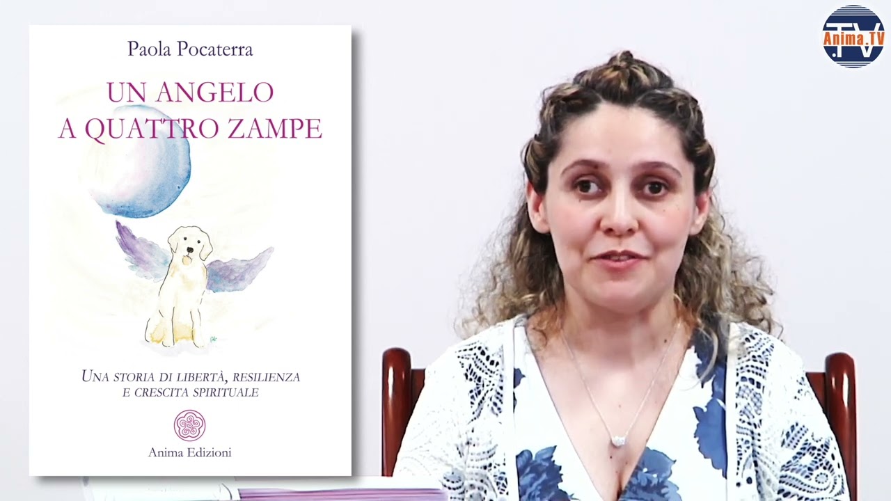 Il mio libro in breve