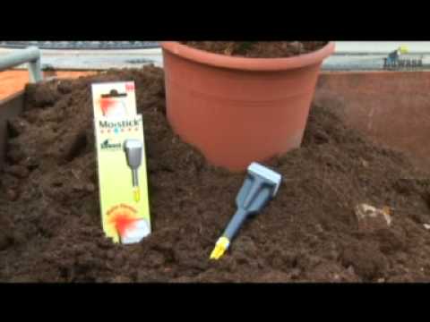 Luwasa LT Substrat für Outdoor