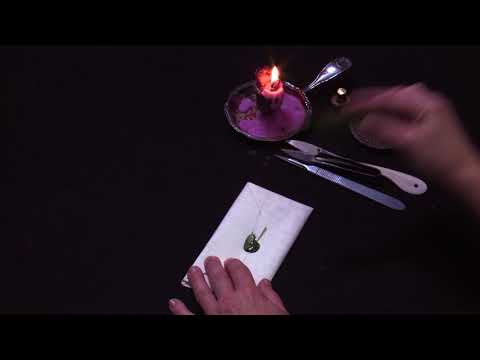 Brienne Postal Archive: Sibling salutations sealed with a green heart, France (1703) (UH0142)