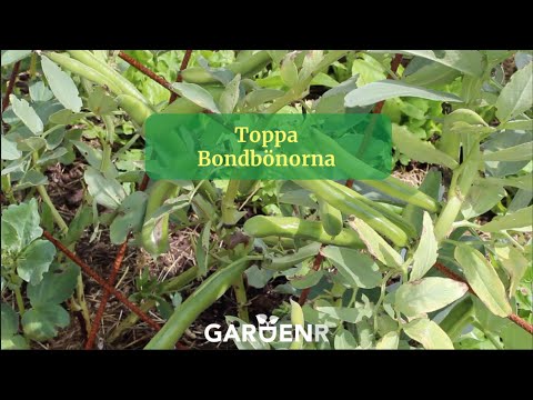 Toppa bondönorna - Trädgårdshacks med GardenR