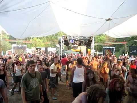 Megalopsy at Psycrowdelica Open Air 2010 - Near Berlin, Germany