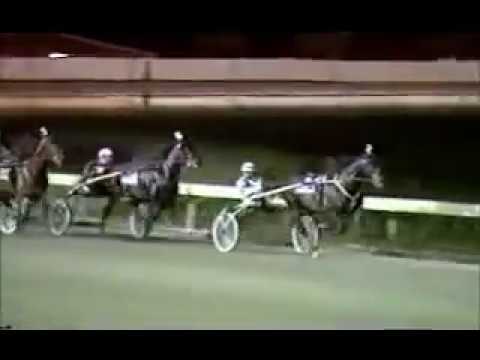 1988 The Meadows FIRM TRIBUTE Breeders Crown 3yo C&G Trot