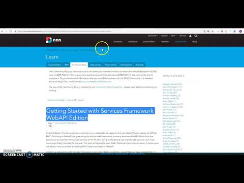 DNN 9.x Angular and Web API