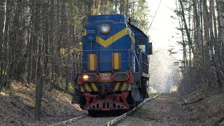 Тепловоз ТЭМ2-2660 следует резервом по перегону Заводская - пост 2 км.10/11/2024