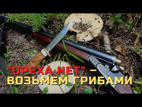 ОТКРЫТИЕ ОХОТЫ  2021  -на грибы- (ЧАСТЬ 2)