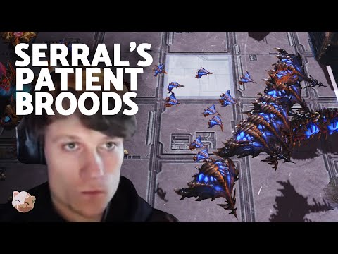 SERRAL'S Broodlord Mastery vs Maxpax (Bo3 ZvP) | Group A PiGFest