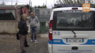pontecagnano-muore-la-donna-aggredita-dal-cane-corso
