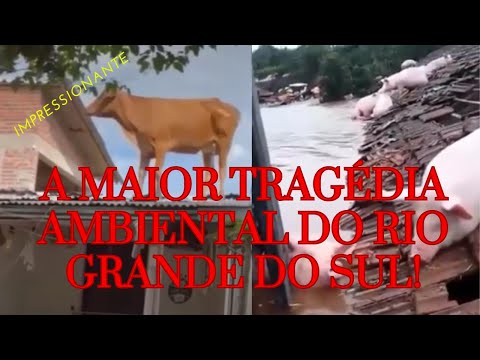 Catástrofe Climática no Rio Grande do Sul, Imagens da Maior Tragédia Ambiental do Estado!