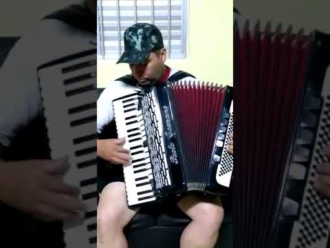 Festejo - Camarão. | Nildo do Acordeon.
