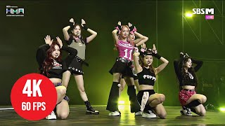 [ 4K LIVE ] STAYC - Intro + BEAUTIFUL MONSTER + Poppy - (230210 SBS M 30th HMA 2022)