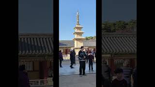 경주 불국사 다보탑 금관 천마총 가을 단풍 #경주