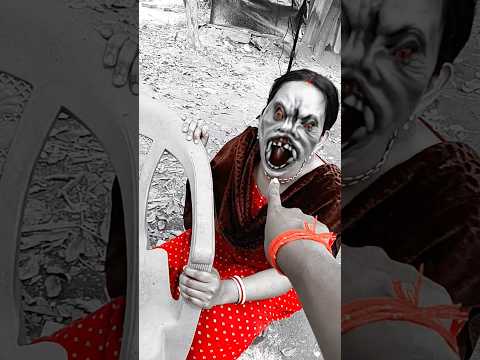 Niki is the most celebrity chihuahua in the world 🫣🧐#shorts