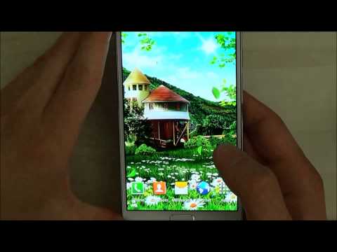 Summer Wallpaper Video