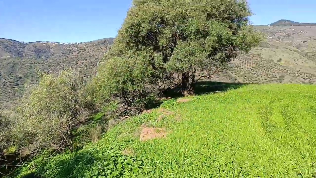 Finca en Venta en Málaga
