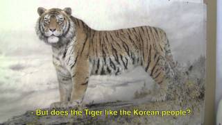 preview picture of video 'The Korean Tiger at Mansudae Art Studio in North Korea'