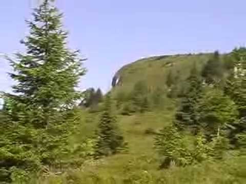 Lanza ValDolce Aip 1