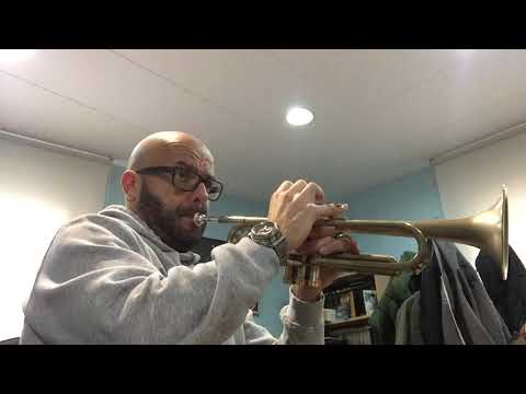 Escuchar, leer y tocar vol.1, El oso y la miel (track 69)- trompeta