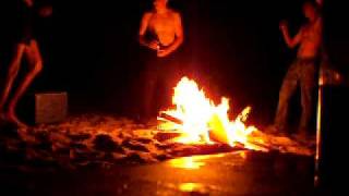 little birdy - hairdo