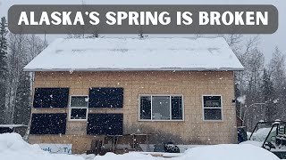 Alaska Homestead Life OFF GRID COLD ROOM UPDATE - READY, FIRE, AIM EGGS - OUR FARM GETS A BOOST