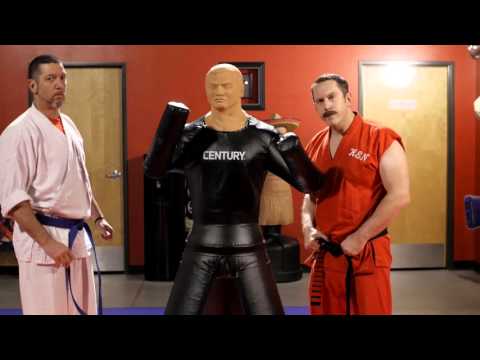 Master Ken Meets Versys VS BOB