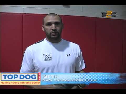 B2C: Top Dog Sports - Fielding Baseball Drills
