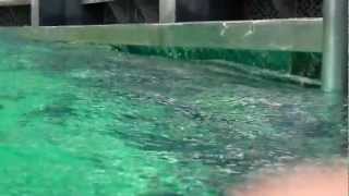 Swimming pool onboard MS Balmoral Titanic Memorial Cruise