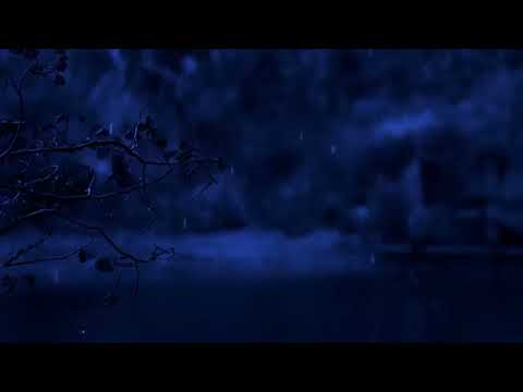 Beat Tinnitus with Heavy Rain on Lake, Calm Thunder in Deep Forest - Real Rain Sounds for Sleeping