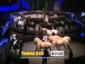 Ringling Bros And Barnum Bailey Presents Fully Charged