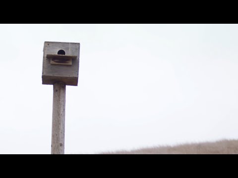 SUSTAINABILITY: OWL BOXES
