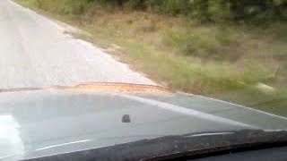 preview picture of video 'Snake Goes For A Ride On an SUV down in Mississippi !'