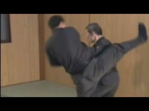 Takagi Yoshin Ryu   Hatsumi Sensei - Bujinkan Soke. Ninjutsu (Ninja)