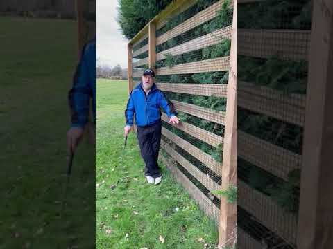 Rules with Phil - Difference between an immovable obstruction and a boundary fence