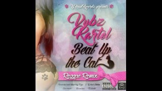 Vybz Kartel -  Beat Up The Cat   Raw   Reggae Remix   February 2016