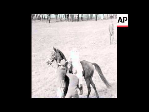 SYND 12/10/71 UNDER HALF THE COMPETITORS COMPLETE THE FIRST GRUELING STEEPLECHASE IN PARDUBICE