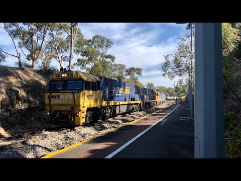 Pacific National Freight - 2PM5 - NR11, NR14, G530
